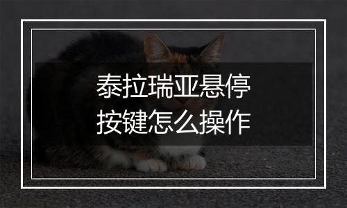 泰拉瑞亚悬停按键怎么操作
