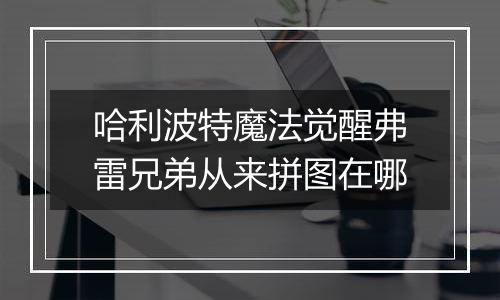 哈利波特魔法觉醒弗雷兄弟从来拼图在哪