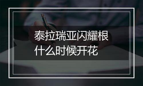 泰拉瑞亚闪耀根什么时候开花