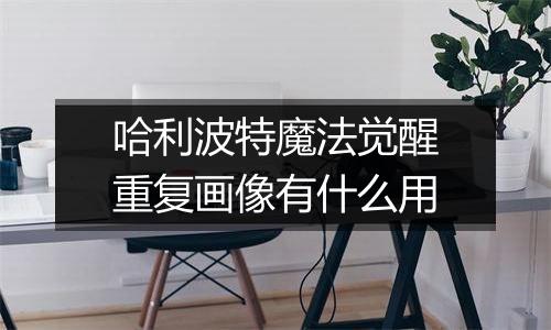 哈利波特魔法觉醒重复画像有什么用