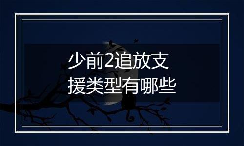 少前2追放支援类型有哪些