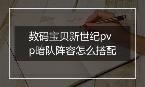 数码宝贝新世纪pvp暗队阵容怎么搭配