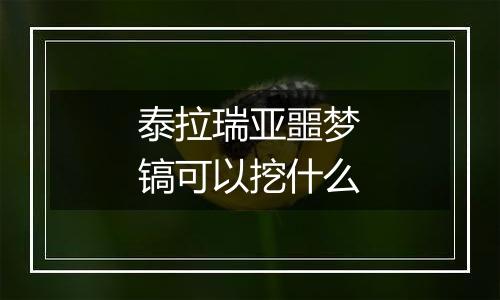 泰拉瑞亚噩梦镐可以挖什么