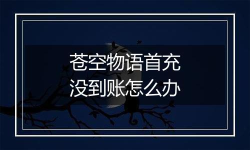 苍空物语首充没到账怎么办