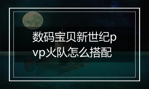 数码宝贝新世纪pvp火队怎么搭配