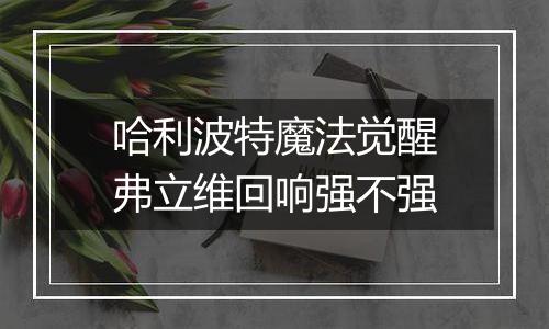 哈利波特魔法觉醒弗立维回响强不强