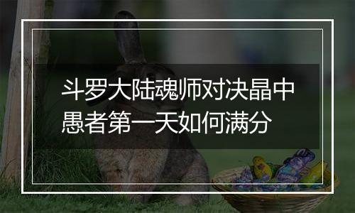 斗罗大陆魂师对决晶中愚者第一天如何满分