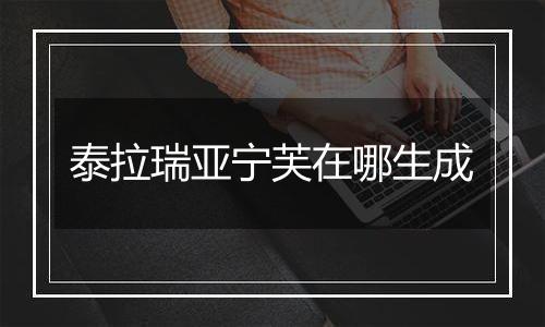 泰拉瑞亚宁芙在哪生成