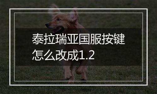 泰拉瑞亚国服按键怎么改成1.2