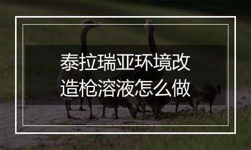 泰拉瑞亚环境改造枪溶液怎么做