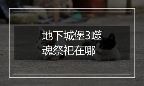 地下城堡3噬魂祭祀在哪