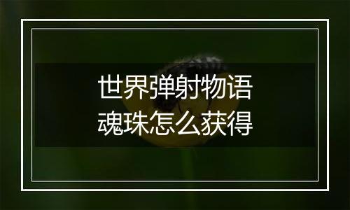 世界弹射物语魂珠怎么获得