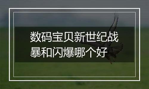 数码宝贝新世纪战暴和闪爆哪个好