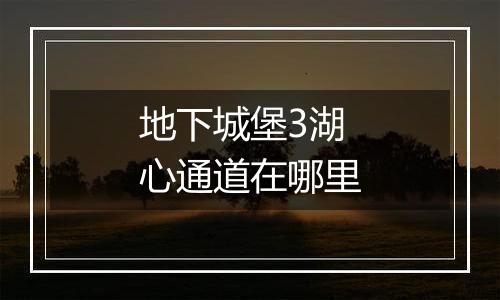 地下城堡3湖心通道在哪里