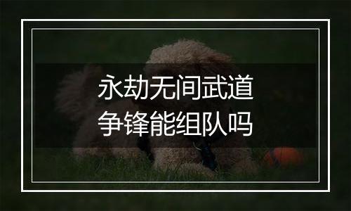 永劫无间武道争锋能组队吗