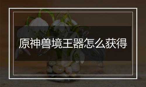 原神兽境王器怎么获得