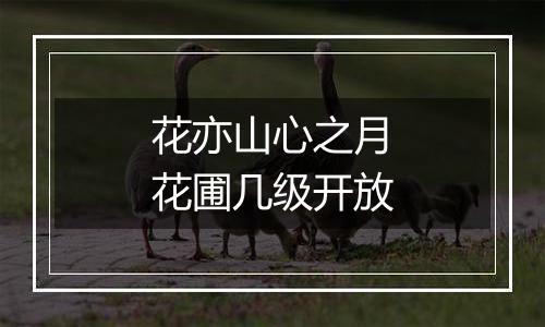 花亦山心之月花圃几级开放