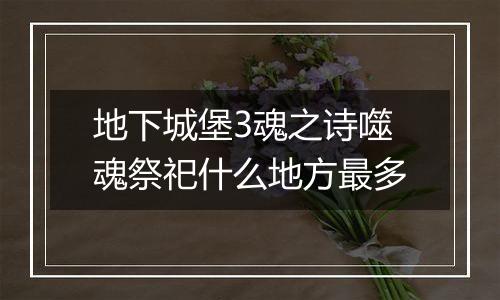 地下城堡3魂之诗噬魂祭祀什么地方最多