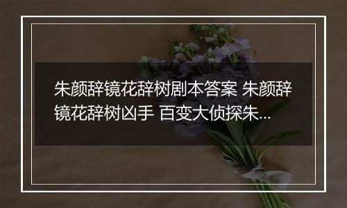 朱颜辞镜花辞树剧本答案 朱颜辞镜花辞树凶手 百变大侦探朱颜辞镜花辞树