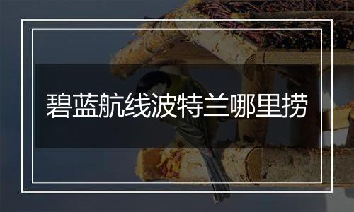 碧蓝航线波特兰哪里捞