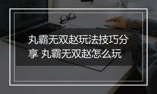 丸霸无双赵玩法技巧分享 丸霸无双赵怎么玩