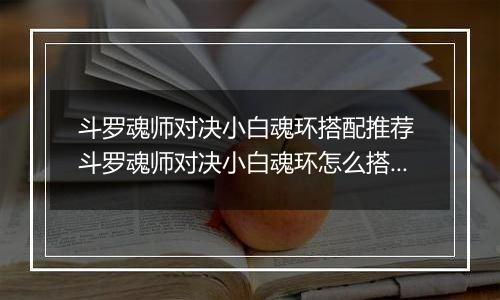 斗罗魂师对决小白魂环搭配推荐 斗罗魂师对决小白魂环怎么搭配