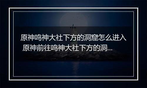 原神鸣神大社下方的洞窟怎么进入 原神前往鸣神大社下方的洞窟攻略