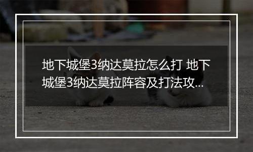 地下城堡3纳达莫拉怎么打 地下城堡3纳达莫拉阵容及打法攻略