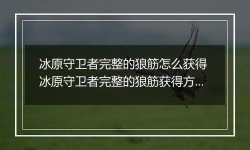 冰原守卫者完整的狼筋怎么获得 冰原守卫者完整的狼筋获得方法