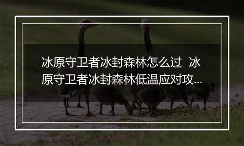 冰原守卫者冰封森林怎么过  冰原守卫者冰封森林低温应对攻略