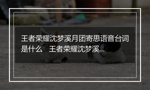 王者荣耀沈梦溪月团寄思语音台词是什么   王者荣耀沈梦溪月团寄思特效语音大全