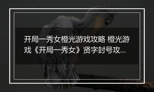 开局一秀女橙光游戏攻略 橙光游戏《开局一秀女》贤字封号攻略