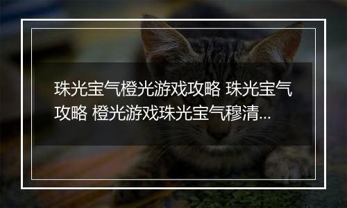 珠光宝气橙光游戏攻略 珠光宝气攻略 橙光游戏珠光宝气穆清结局攻略