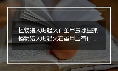 怪物猎人崛起火石圣甲虫哪里抓 怪物猎人崛起火石圣甲虫有什么用