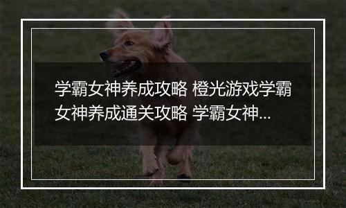 学霸女神养成攻略 橙光游戏学霸女神养成通关攻略 学霸女神养成计划橙光