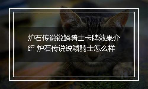 炉石传说锐鳞骑士卡牌效果介绍 炉石传说锐鳞骑士怎么样