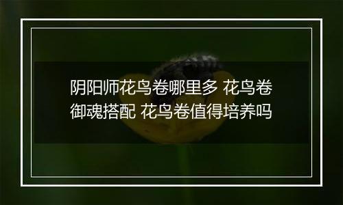 阴阳师花鸟卷哪里多 花鸟卷御魂搭配 花鸟卷值得培养吗