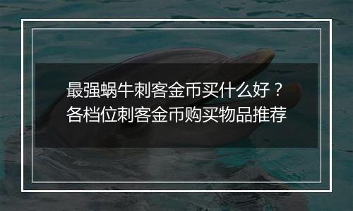 最强蜗牛刺客金币买什么好？各档位刺客金币购买物品推荐