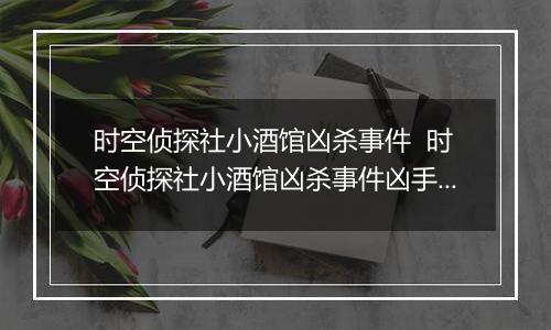 时空侦探社小酒馆凶杀事件  时空侦探社小酒馆凶杀事件凶手是谁
