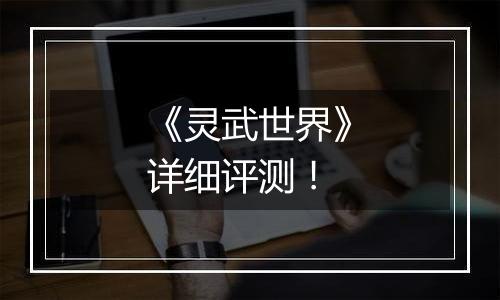 《灵武世界》详细评测！