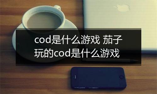 cod是什么游戏 茄子玩的cod是什么游戏
