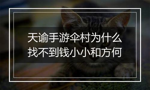 天谕手游伞村为什么找不到钱小小和方何