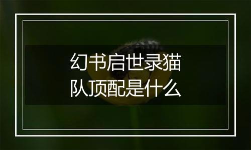 幻书启世录猫队顶配是什么