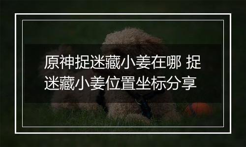 原神捉迷藏小姜在哪 捉迷藏小姜位置坐标分享