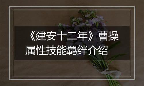 《建安十二年》曹操属性技能羁绊介绍
