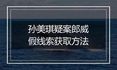 孙美琪疑案郎威假线索获取方法