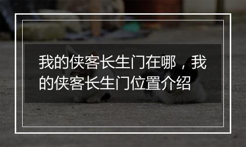 我的侠客长生门在哪，我的侠客长生门位置介绍