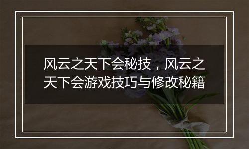 风云之天下会秘技，风云之天下会游戏技巧与修改秘籍