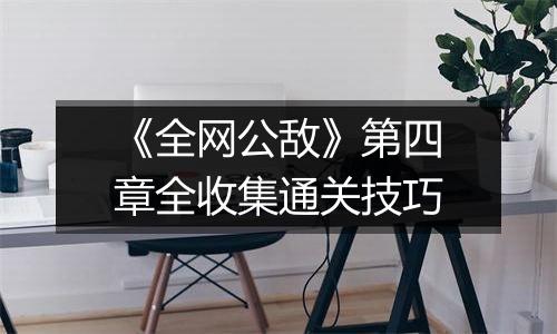 《全网公敌》第四章全收集通关技巧