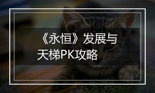 《永恒》发展与天梯PK攻略